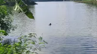 Helikopter Jatuh di Danau Buperta Depok