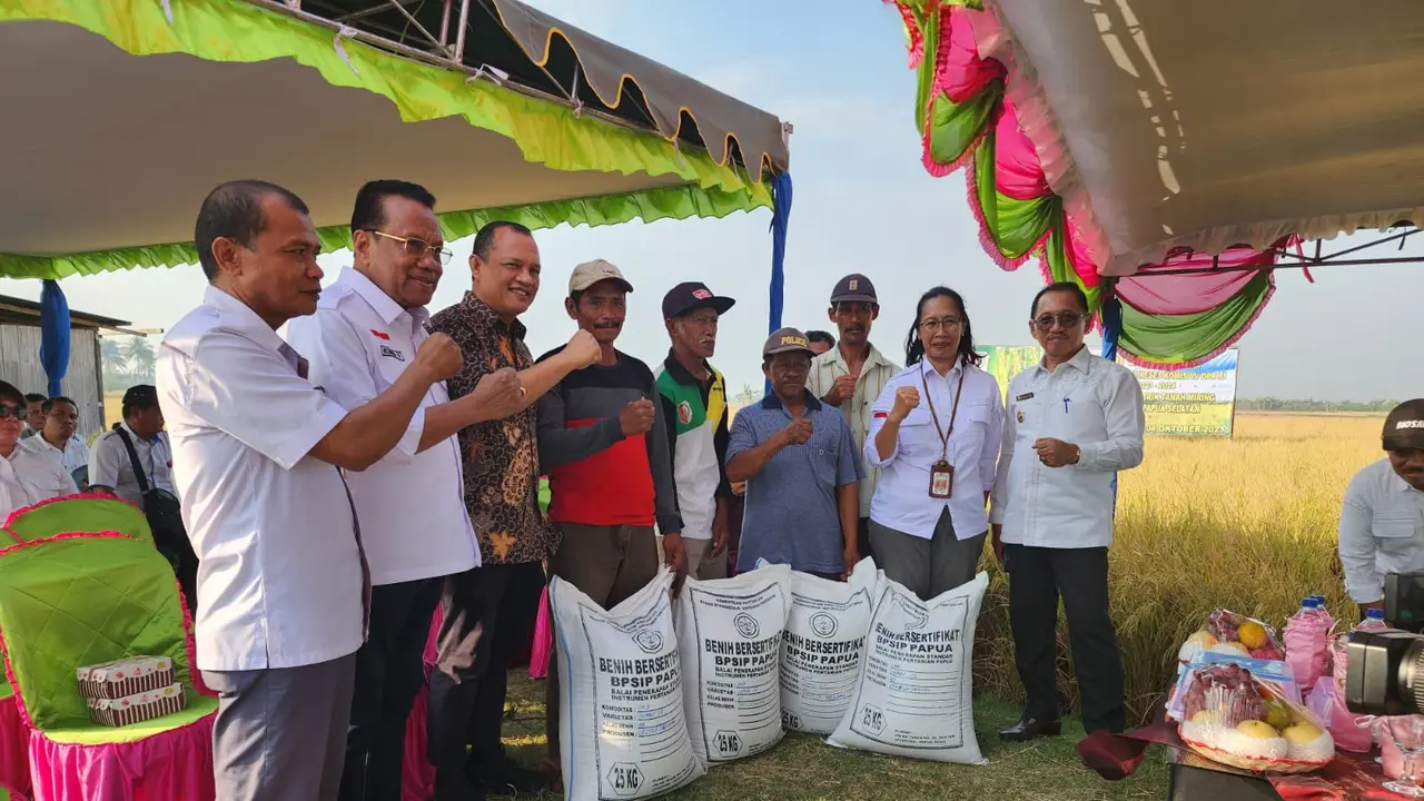 Komisi IV DPR RI Apresiasi Semangat Petani Merauke, Berhasil Panen Padi di Tengah Musim Kemarau