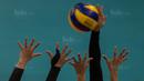 Pevoli Indonesia, Wilda Siti Nurfadhilah, berusaha melakukan block saat melawan Vietnam pada laga SEA Gmaes di MITEC, Kuala Lumpur, Sabtu (26/8/2017). Indonesia lolos ke final setelah menang 3-2 atas Vietnam. (Bola.com/Vitalis Yogi Trisna)
