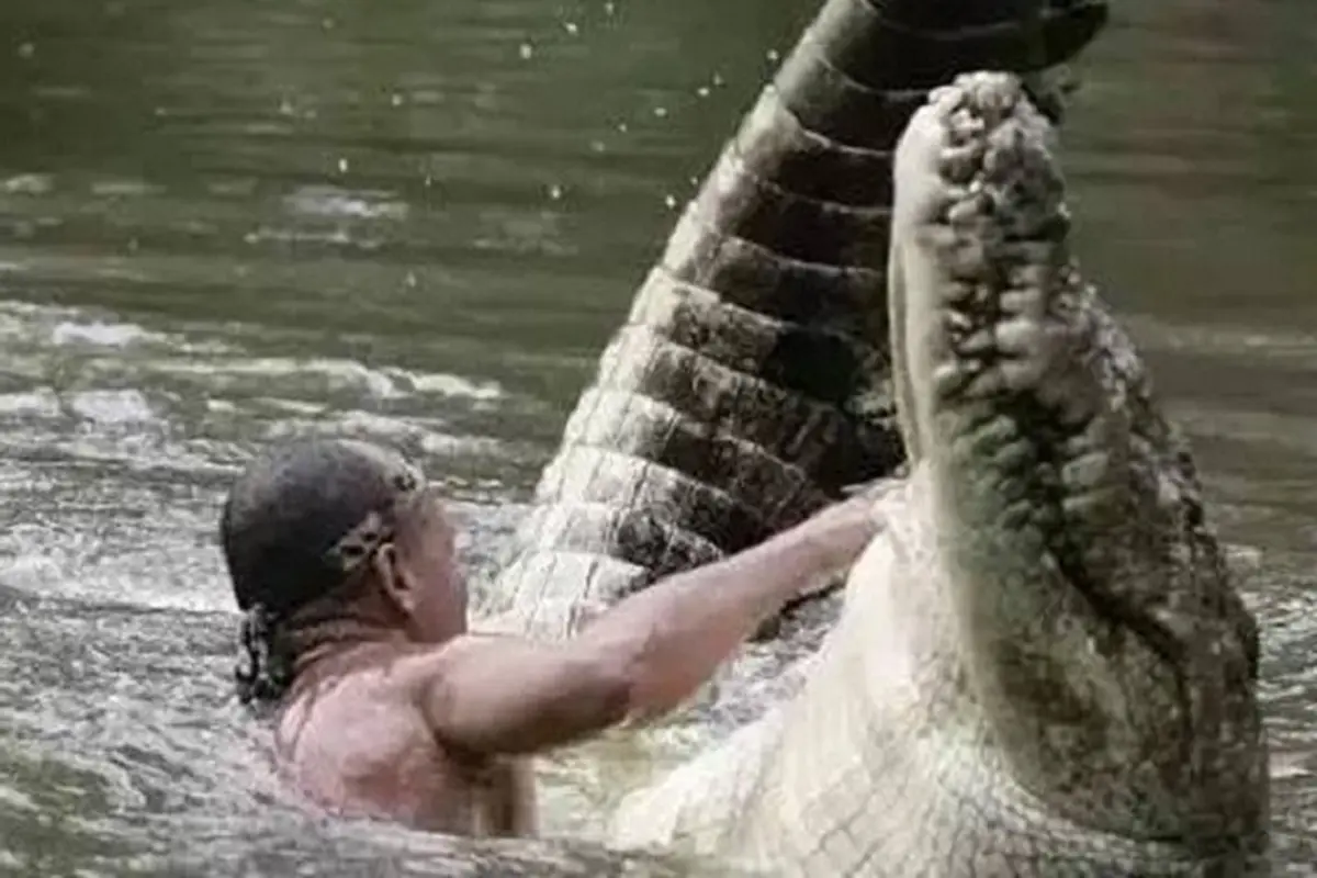 [Bintang] Buaya