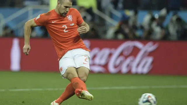 Ron Vlaar