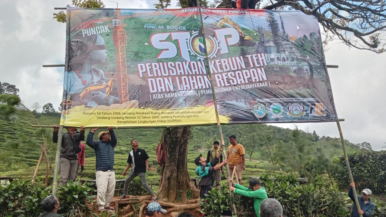 Marak Alih Fungsi Kebun Teh