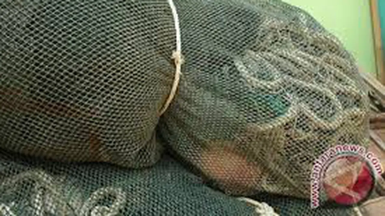 Alat Tangkap Ikan Cantrang