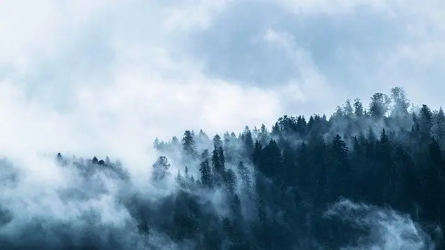 Ilustrasi kabut