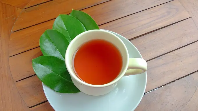 daun buah sirsak