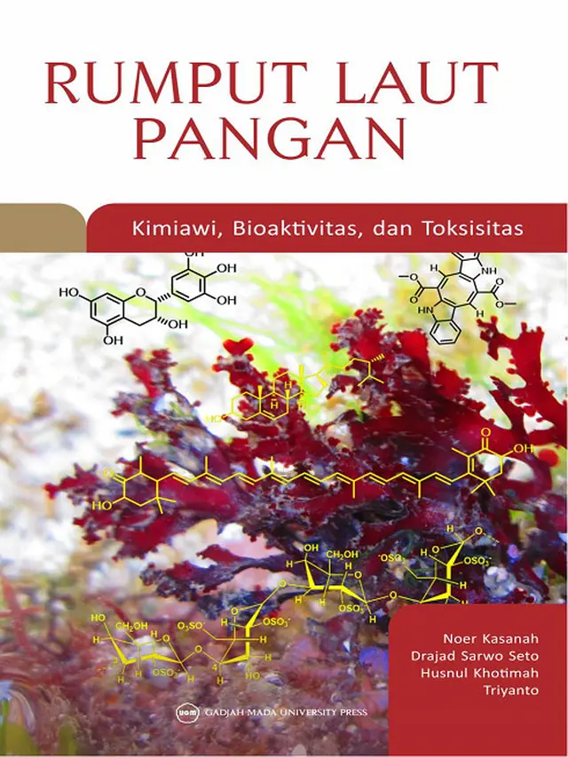 Karya Noer Kasanah