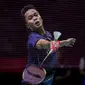 Tunggal putra Indonesia, Anthony Sinisuka Ginting berusaha mengembalikan bola di depan net saat menghadapi wakil Singapura, Loh Kean Yew pada babak perempatfinal Daihatsu Indonesia Masters 2024 di Istora Senayan, Jakarta, Jumat (26/1/2024). Anthony Ginting menang dua game langsung dengan skor 21-17, 21-19. (Bola.com/Bagaskara Lazuardi)