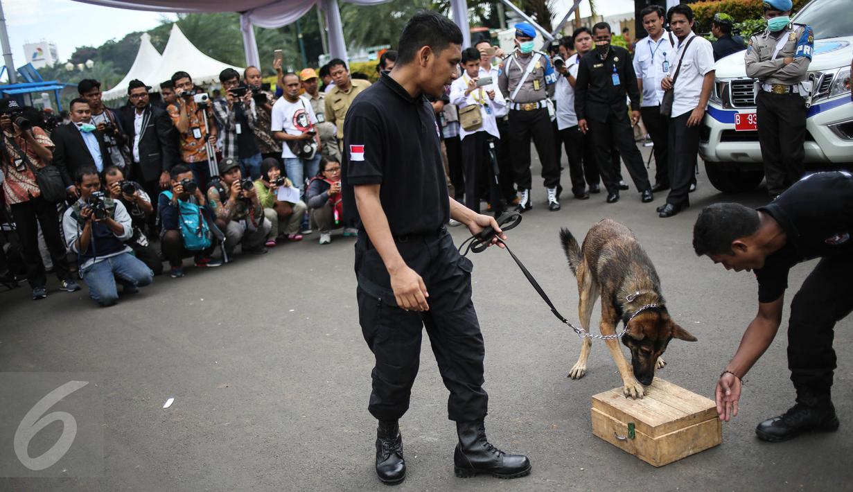Seekor anjing unit k-9 didampingi pelatih milik BNN beraksi saat simulasi mencari barang bukti narkoba di Monumen Nasional, Jakarta, Selasa (6/12). Pasukan K9 yang dibentuk BNN terdiri dari berbagai jenis anjing. (Liputan6.com/Faizal Fanani)