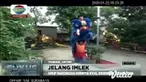 Perayaan Imlek 2571 membawa berkah tersendiri bagi seniman barongsai di kabupaten Tuban, Jawa Timur dikarenakan jelang peringatan tahun baru cina mereka kebanjiran job pementasan bahkan meningkat drastis dibanding tahun lalu.