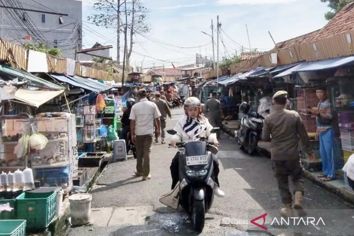 Petugas gabungan di lingkungan Pemerintah Kota (Pemkot) Jakarta Timur (Jaktim) melakukan penertiban terhadap pedagang kaki lima (PKL) di Jalan Kemuning, RW 06, Balimester, Jatinegara, Jakarta Timur, Jumat.  (Antara)
