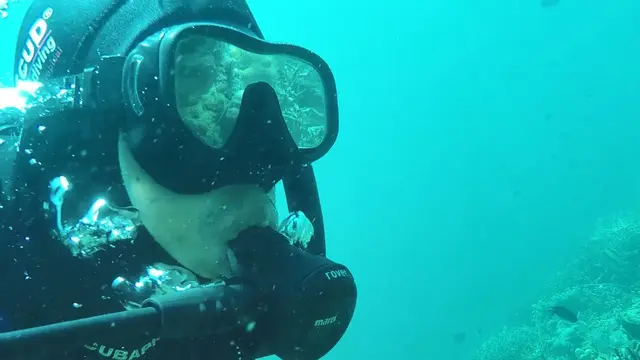 Diving Karampuang