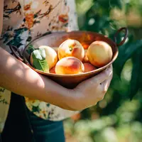 Ilustrasi/copyright unsplash.com/Kelly Neil