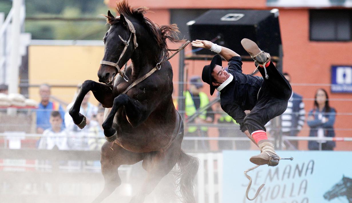 Seorang Gaucho terlempar dalam Criolla del Prado di Montevideo, Uruguay, Rabu (12/4). Selama Minggu Suci, kota Montevideo menyelenggarakan rodeo untuk penunggang kuda terbaik. (AP Photo / Matilde Campodonico)