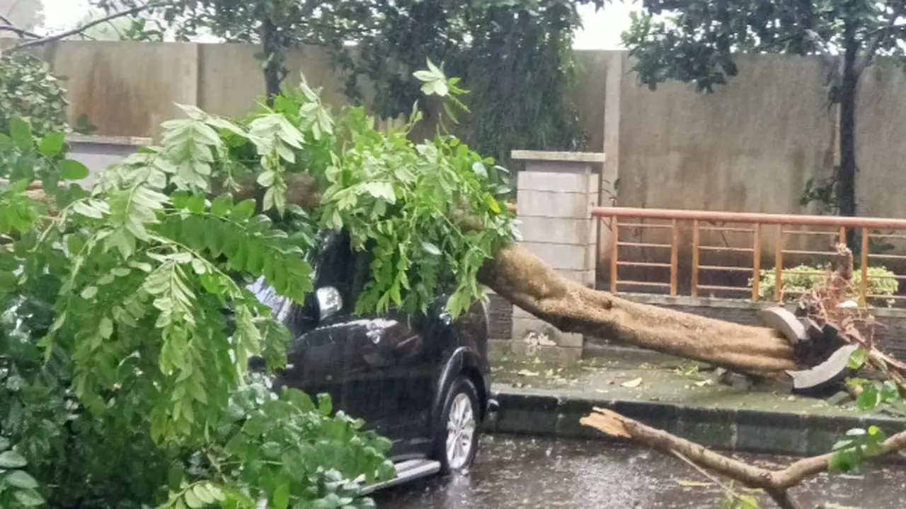 Hujan Es, Angin Kencang dan Pohon Tumbang Landa Sebagian Wilayah Malang