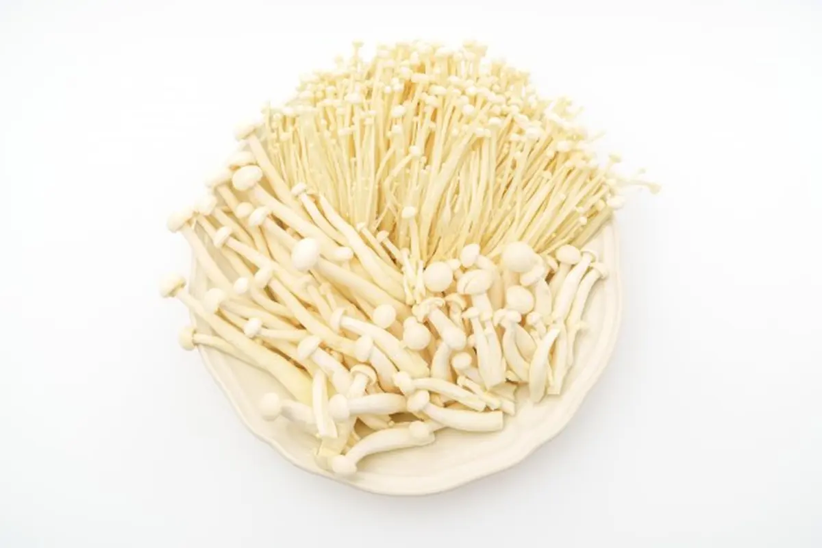 Jamur Enoki