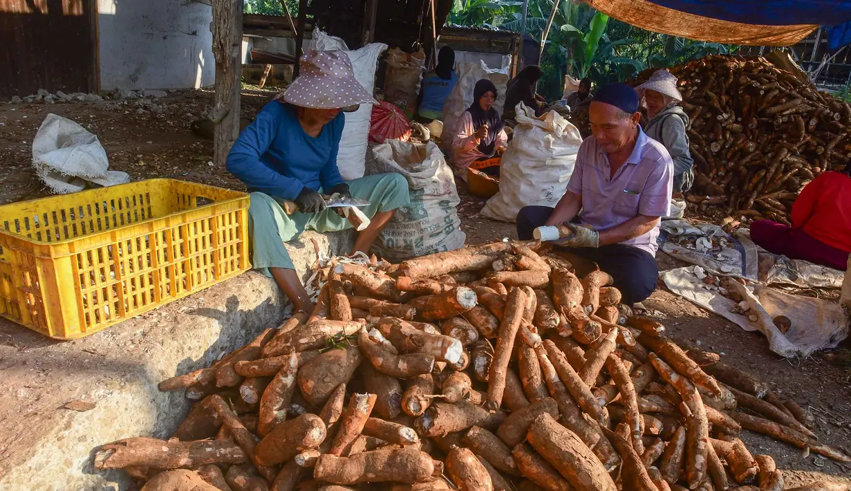 Pekerja mengolah singkong di sentra pengolahan bahan baku makanan ringan di Ciampea, Kabupaten Bogor, Jawa Barat, Minggu (26/7/2026).  (KLY/ Arie Basuki)