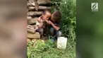 Sang kakak tak segan menyuapi makanan seadanya yang mereka santap berdua.
