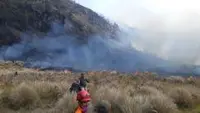 Berawal di Jalur Tradisional, Kebakaran Bromo Diduga Bukan Faktor Alam