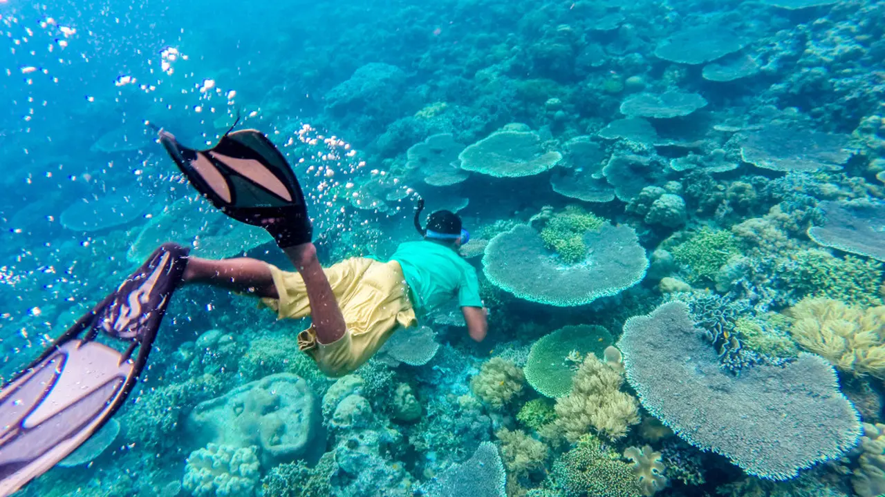 Pesona Budaya sampai Bahari Desa Wisata Liya Togo
