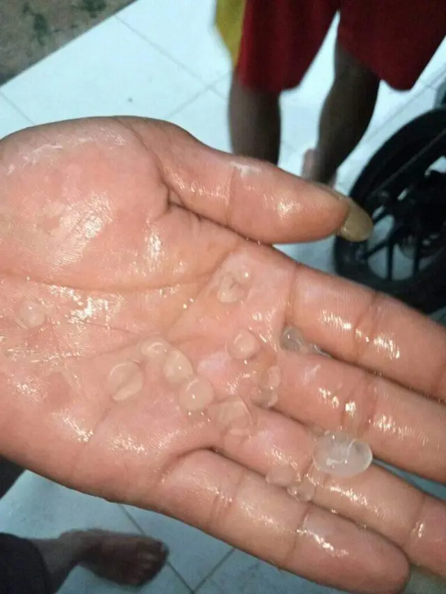 Butiran es dalam hujan es di Baturraden, Banyumas. (Foto: Liputan6.com/Irma/Muhamad Ridlo)