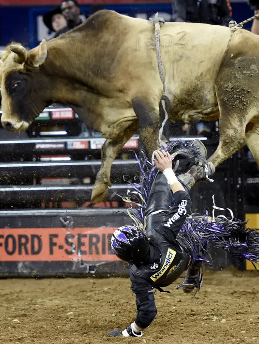 Stetson Lawrence terpental saat menunggangi Pneu-Dart Style Southern di Built Ford Tough Series Monster Energy Buck Off di Madison Square Garden, New York, AS, Jumat (6/1). (AFP PHOTO / TIMOTHY A. Clary)