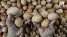 Pedagang menunjukkan telur ayam ras di salah satu stan Pasar Kebayoran Lama, Jakarta, Selasa (29/12/2020). Dinas KPKP Provinsi DKI Jakarta menyiapkan operasi pasar guna mengendalikan harga pangan, salah satunya telur ayam yang mengalami kenaikan jelang Tahun Baru 2021. (Liputan6.com/Johan Tallo)