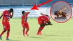 Video serangan lebah yang marah hingga hentikan pertandingan liga sepak bola antara River Plate dan Aucas di Ekuador.