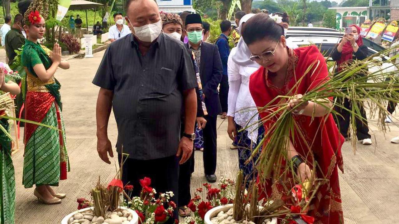 Restoran D’Sawah Hadirkan Konsep Alam dan Fasilitas Permainan