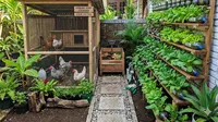 10 Ide Ternak Mini yang Bisa Menyuburkan Kebun Sayur, Optimalkan Lahan Dengan Pupuk Organik