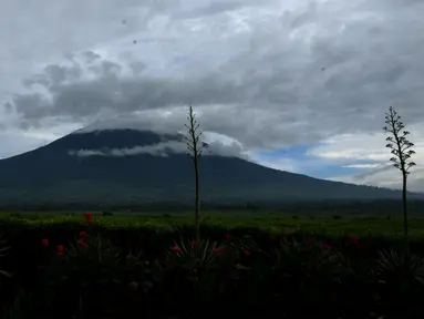 Gunung Kerinci merupakan gunung tertinggi berapi di Indonesia. Gunung Kerinci memiliki ketinggian 3805 Mdpl dan terletak di perbatasan Provinsi Jambi dengan Sumatera Barat. Foto diambil pada 14 Mei 2015. (Liputan6.com/Helmi Fithriansyah)
