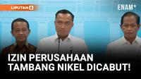 4 Perusahaan Tambang Nikel di Raja Ampat Dicabut!
