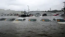 Sejumlah mobil terendam banjir di sebuah dealer setelah badai Harvey menerjang di Dickinson, Texas, Minggu (27/8). Badai Harvey menghantam Texas pada Jumat malam dengan hujan deras dan angin berkecepatan 215 kilometer per jam. (AP Photo)