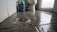 Cara Mengatasi Cacing yang Muncul di Kamar Mandi, Ketahui Penyebab dan Pencegahannya