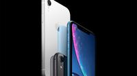 Ilustrasi iPhone XR. (Foto: Ibox)