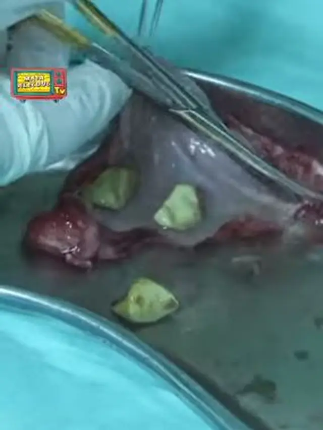 Maia Estianty (Instagram/maiaestiantyreal)