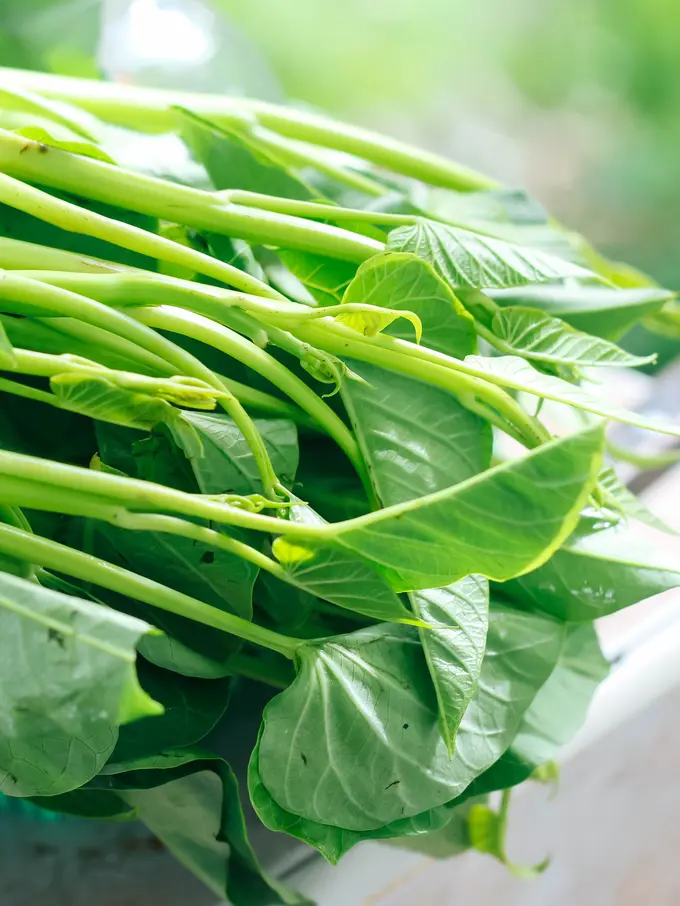 sayur kangkung