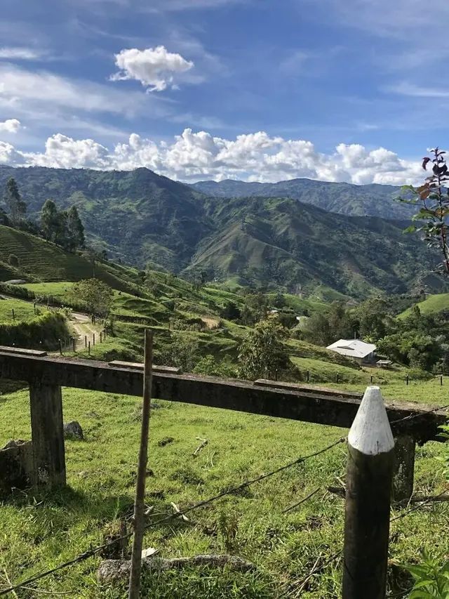 8 Potret Pemandangan dari Luar Jendela Rumah Ini Bikin Netizen Terpana