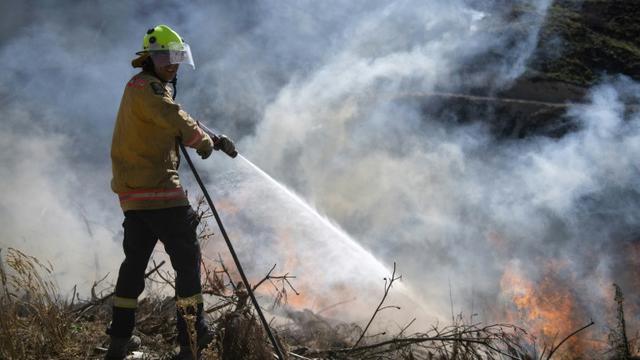 Petugas pemadam kebakaran berusaha memadamkan api yang meluas di Pulau Selatan, Selandia Baru (AP/Chad Sharman)