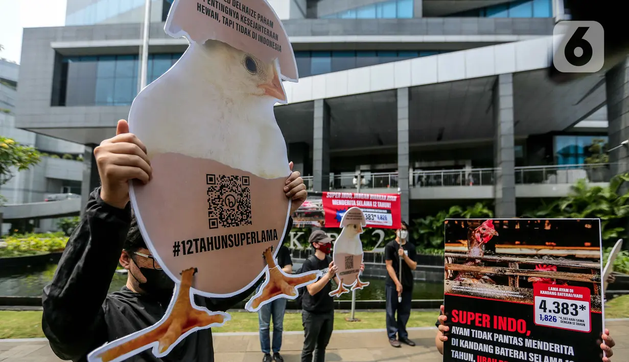 Kandang baterai yang konvensional telah dilarang di banyak negara Uni Eropa dan di beberapa negara bagian AS, karena dianggap sebagai salah satu praktik paling kejam dalam industri peternakan. (Liputan6.com/Faizal Fanani)
