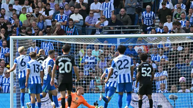 Brighton Vs Manchester City