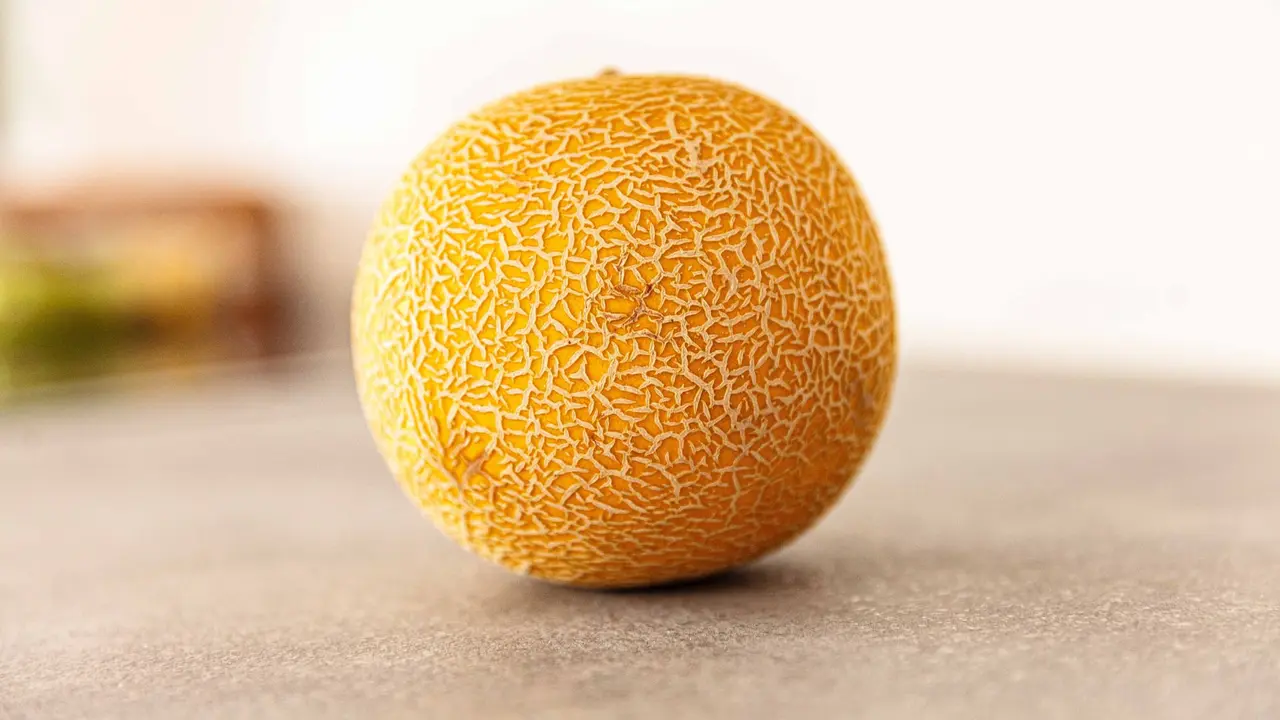 Ilustrasi Melon