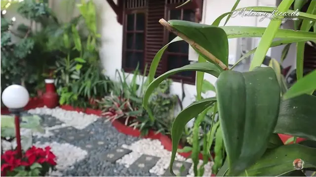 8 Potret Rumah Mpok Atiek yang Sederhana, Dipenuhi Foto Masa Muda