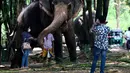 Seekor gajah mengambil pisang dari seorang pengunjung di taman umum pada hari pertama prosesi Buddhis Navam tahunan terbesar selama dua hari di kota itu, yang juga dikenal sebagai festival Perahera, di Kolombo, Sri Lanka (15/2/2022). (AFP/Ishara S. Kodikara)