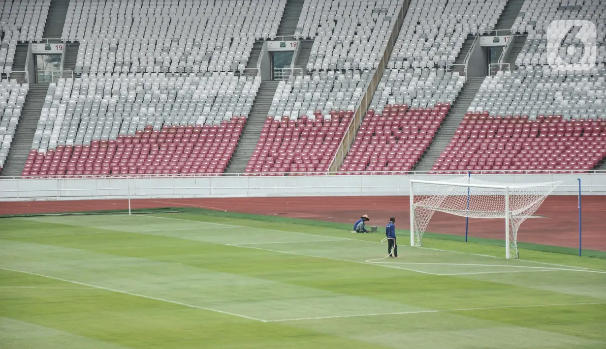 Aktivitas pekerja saat perawatan lapangan Stadion Utama Gelora Bung Karno Senayan, Jakarta Pusat, Kamis (12/1/2023). Perawatan kebersihan Stadion berkapasitas 88.083 penonton tersebut dilakukan secara rutin jelang pertandingan Internasional Sepakbola U-20 di Indonesia yang diikuti 24 negara untuk ajang bergengsi sepak bola yang akan berlangsung 20 Mei hingga 11 Juni 2023 mendatang. (merdeka.com/Iqbal S Nugroho)