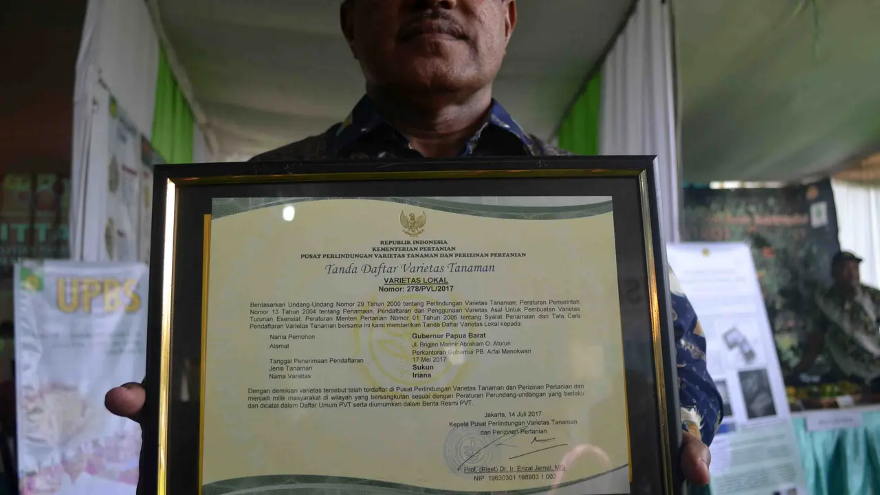 Iriana Jokowi Diusulkan Jadi Nama Buah Sukun Varietas Papua