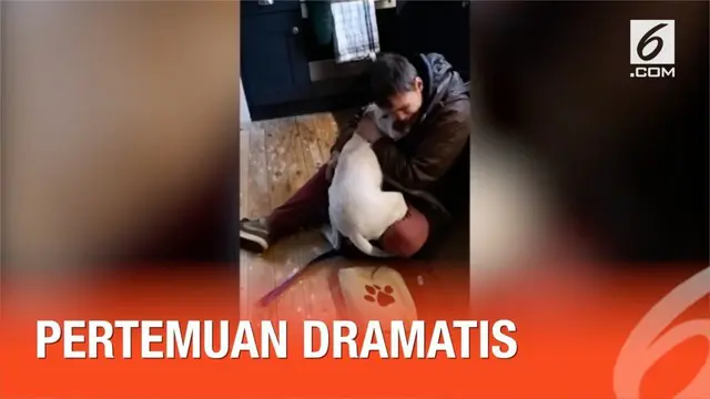 Seorang tunawisma akhirnya bertemu anjing kesayangannya kembali setelah hilang selama seminggu.