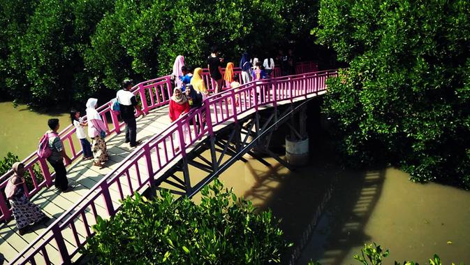 Jelajah hutan mangrove di Dukuh Pandansari, Desa Kaliwlingi, menjadi primadona baru wisata di Kabupaten Brebes, Jateng. (Liputan6.com/Fajar Eko Nugroho)