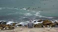 Seorang pria menyaksikan Pantai Maroubra yang dibuka kembali di Sydney (20/4/2020). Pihak berwenang di Sydney membuka kembali tiga pantai untuk aktivitas warga yang ingin berenang ataupun berselancar di tengah pembatasan sosial yang diberlakukan di tengah wabah Covid-19. (AFP/Saeed Khan)