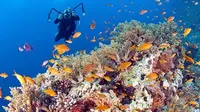 Kementerian Pariwisata mempromosikan kekayaan bahari Indonesia termasuk lokasi-lokasi diving dan snorkling di acara Marine Diving Fair Tokyo.