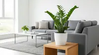 10 Tips Membuat Rumah Terlihat Lebih Modern dengan Tanaman Hias Minimalis